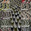 Wholesale Lacer Beaded Lace Fabric with Sequins for Luxury Wedding & Party Dresses 6007