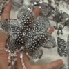 Wholesale Luxury Beaded Embroidery Fabric for Evening Gowns and Wedding Dresses4122